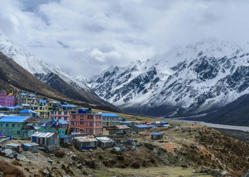 Can You Do the Langtang Valley Trek Without a Guide
