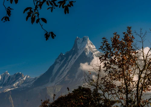 Is Poon Hill Worth It in 2026?