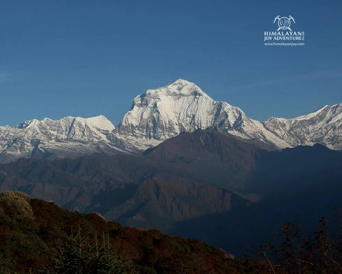 Ghorepani Poon Hill Trekking