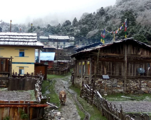 Ghunsa Village In Winter