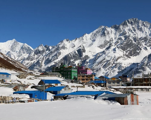 Kyanjin Gompa Village In Winter Season