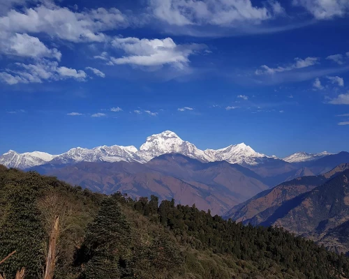 Mount Dhaulagiri Range View