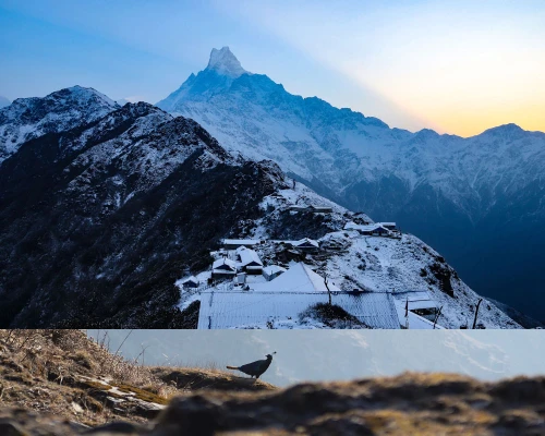 Mount Machapuchhare View From High Camp